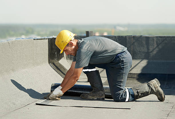 Best Cellulose Insulation in Byron, CA